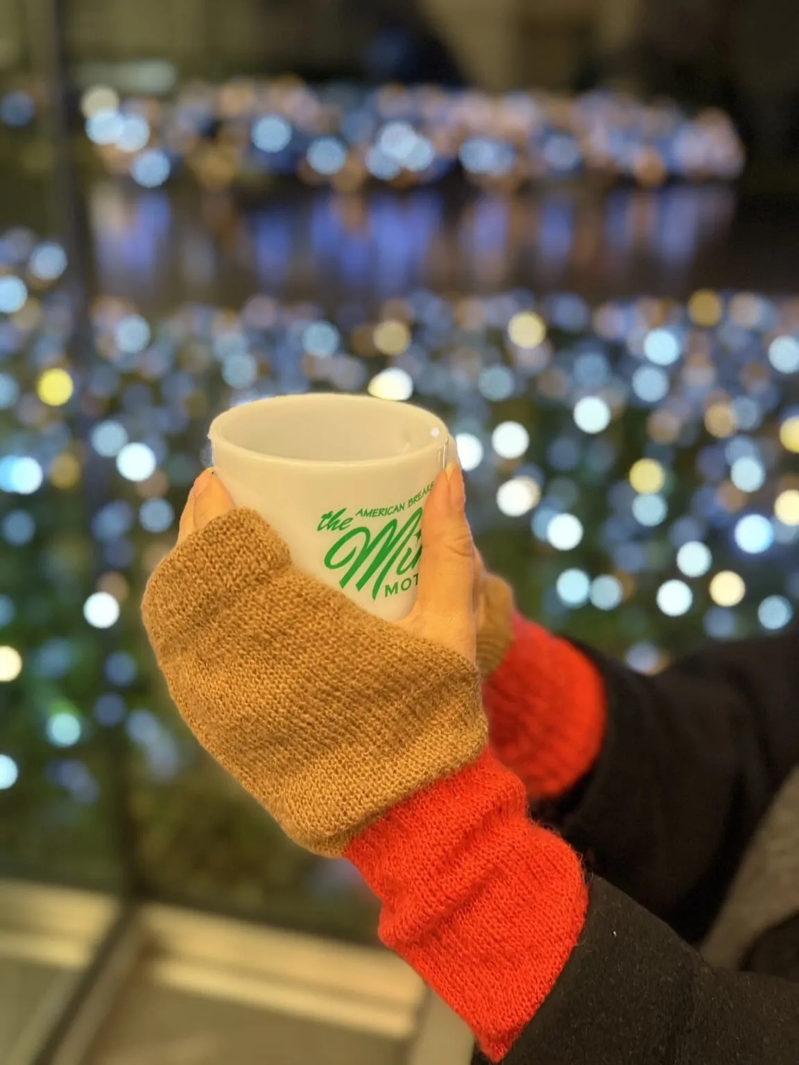 【TEMBEA(テンベア)】LEE別注 GUNTE ARM WARMER+7/アームウォーマー