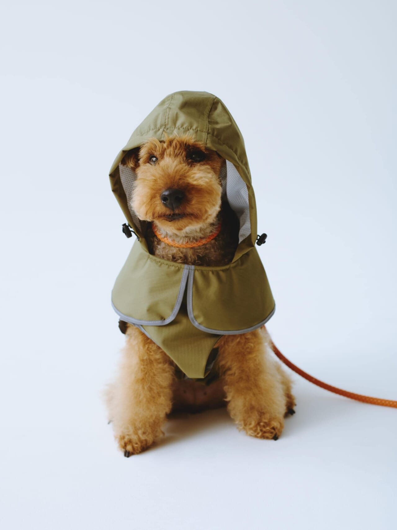 KiU ドッグレインポンチョ