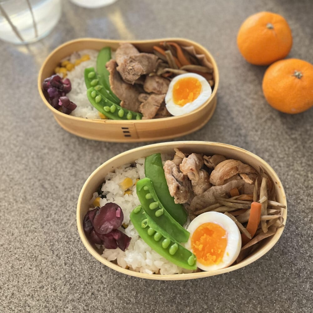 お弁当　曲げわっぱ　藤井弁当