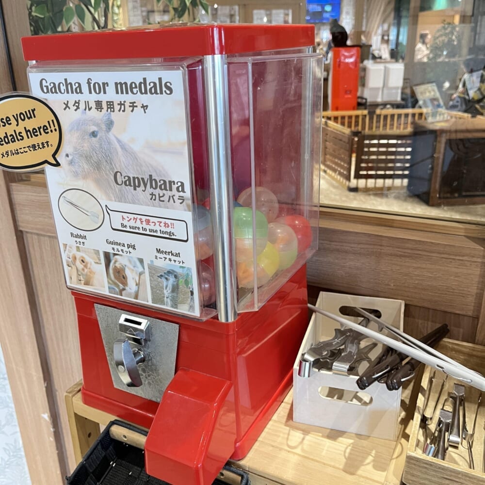 アニミル お台場 動物ふれあい