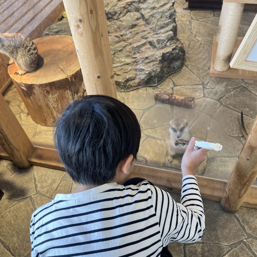 アニミル お台場 動物ふれあい
