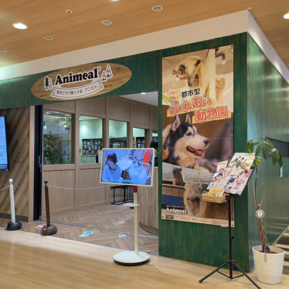 アニミル お台場 動物ふれあい