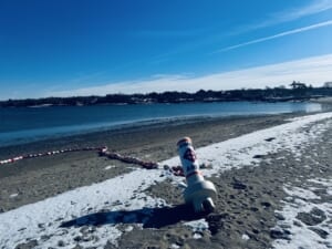 海水も凍るニューイングランドの海岸