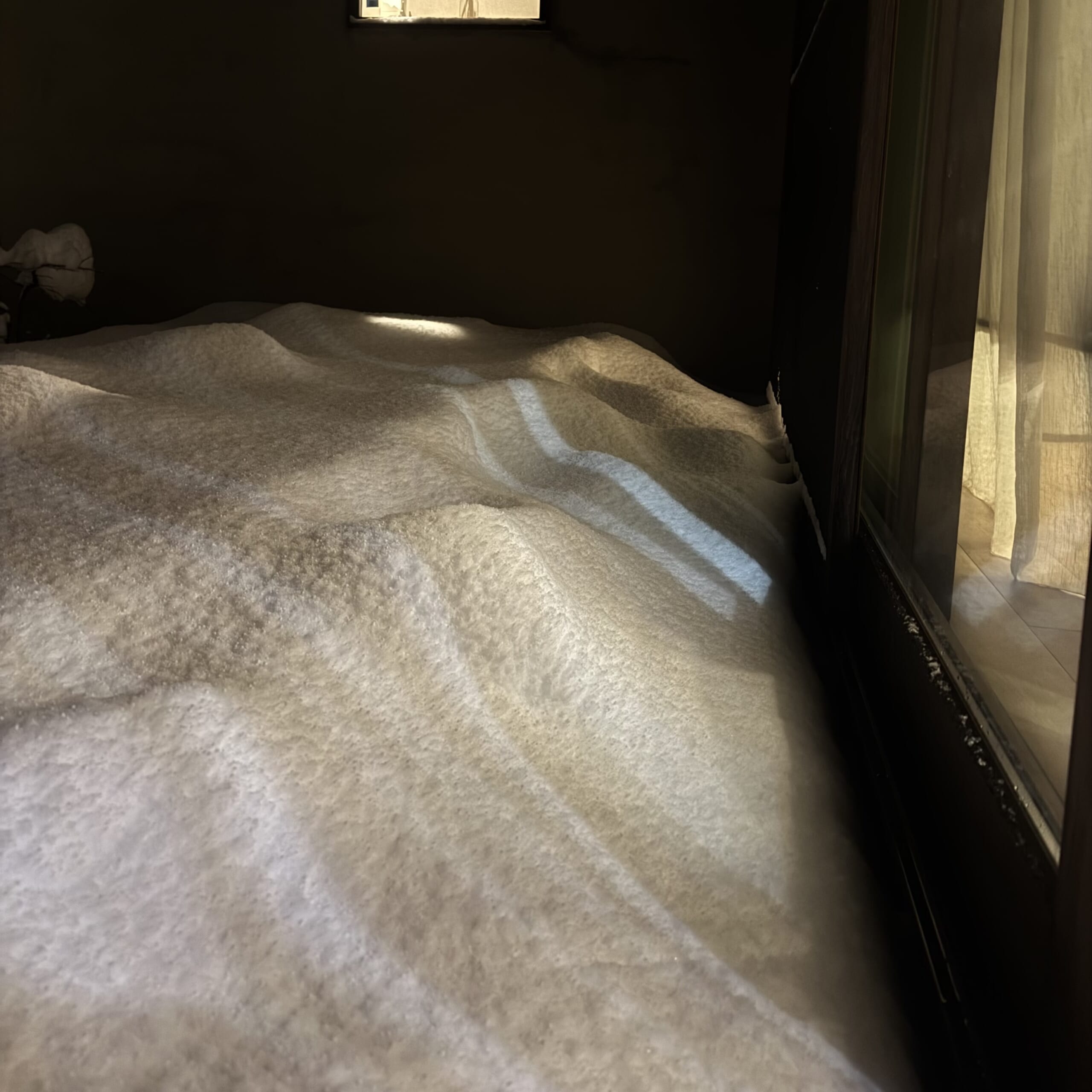 石川県　大雪　2026