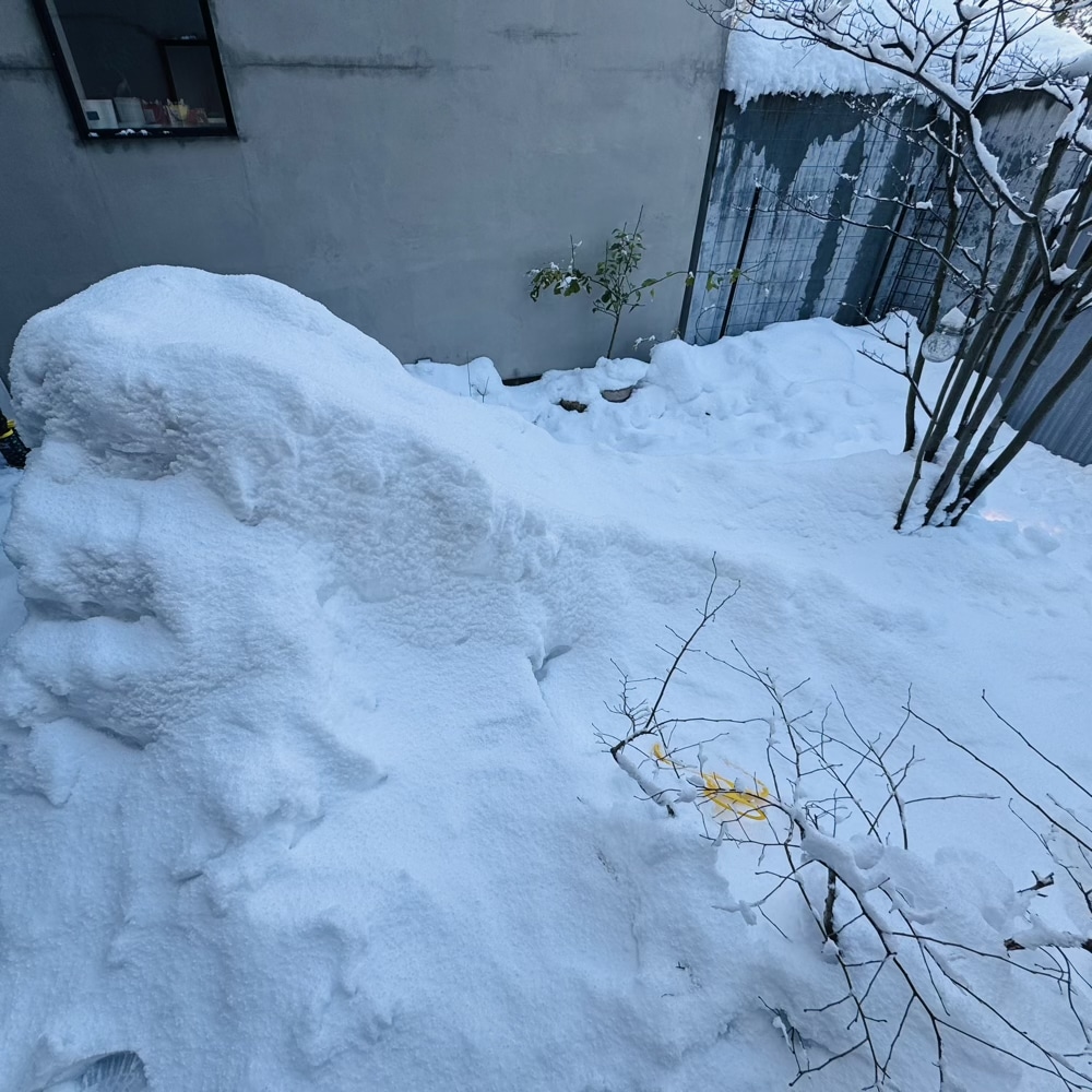 石川県　大雪　2026