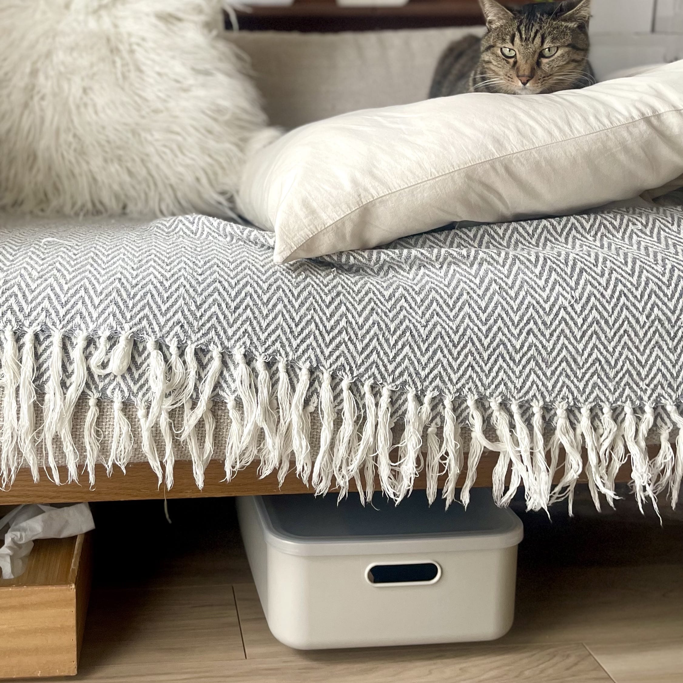 ニトリ 収納ボックス ソフトNインボックス モカ 横型ハーフ