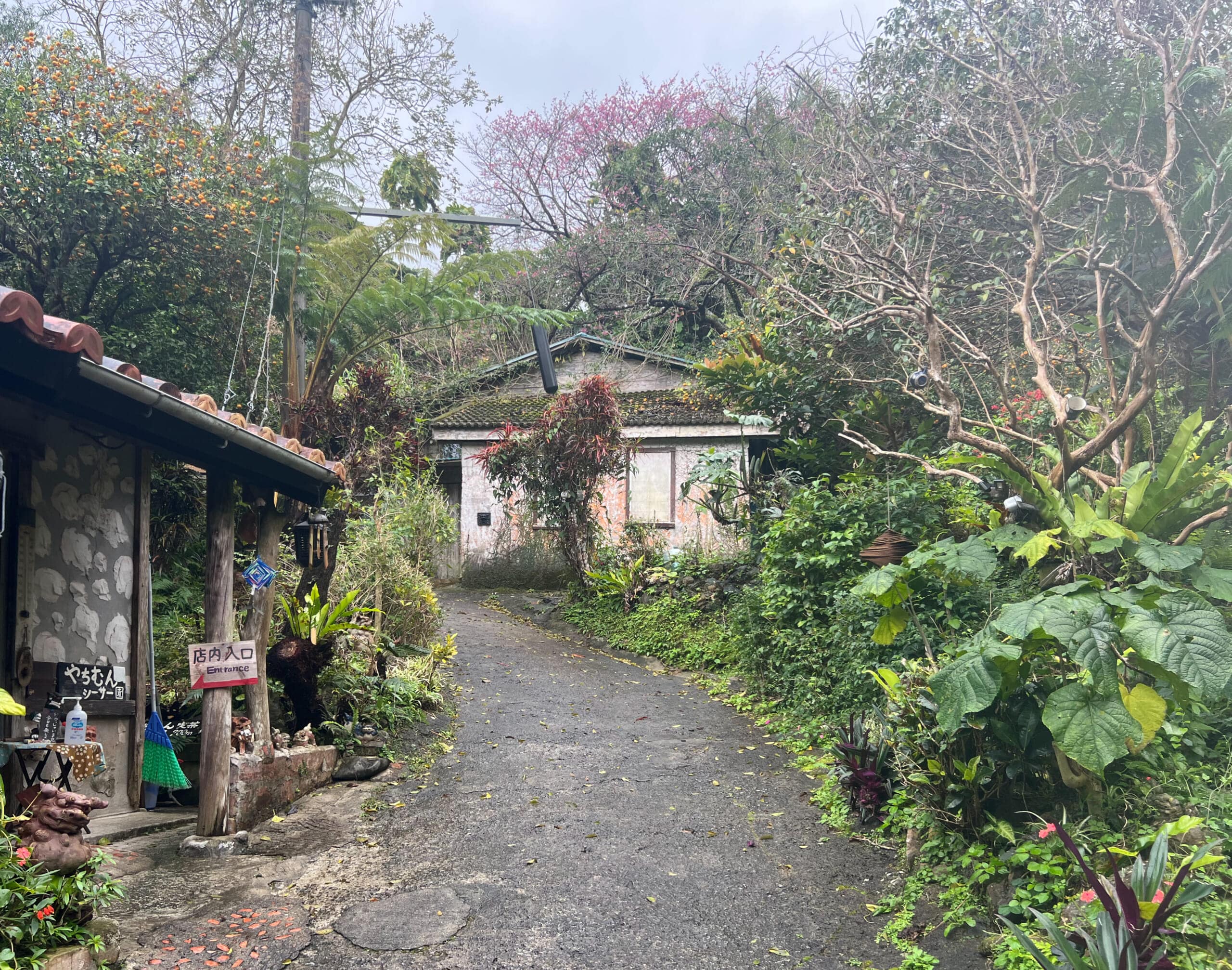【沖縄】カフェでお花見!「やちむん喫茶シーサー園」TBicoco