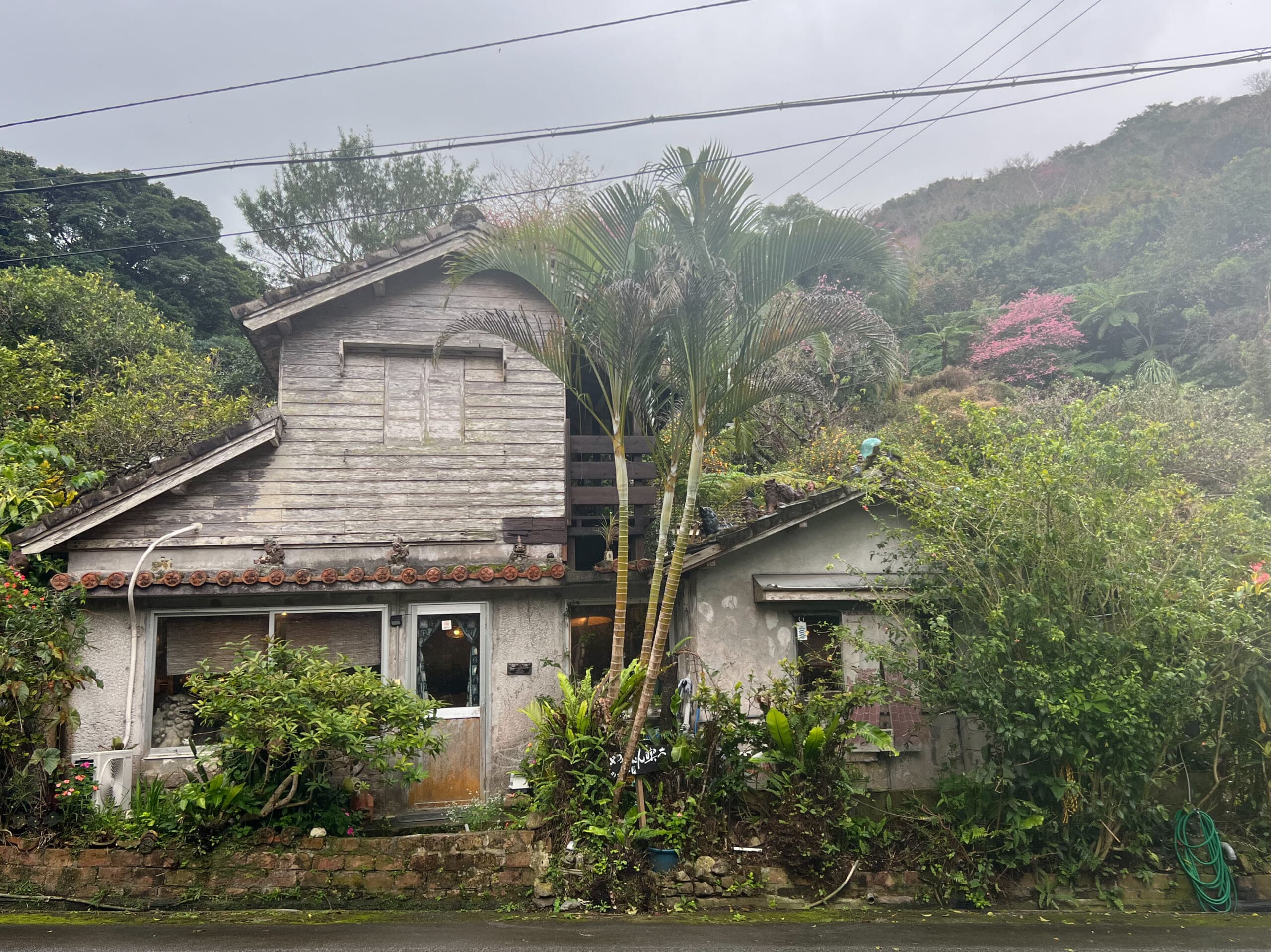 【沖縄】カフェでお花見!「やちむん喫茶シーサー園」TBicoco