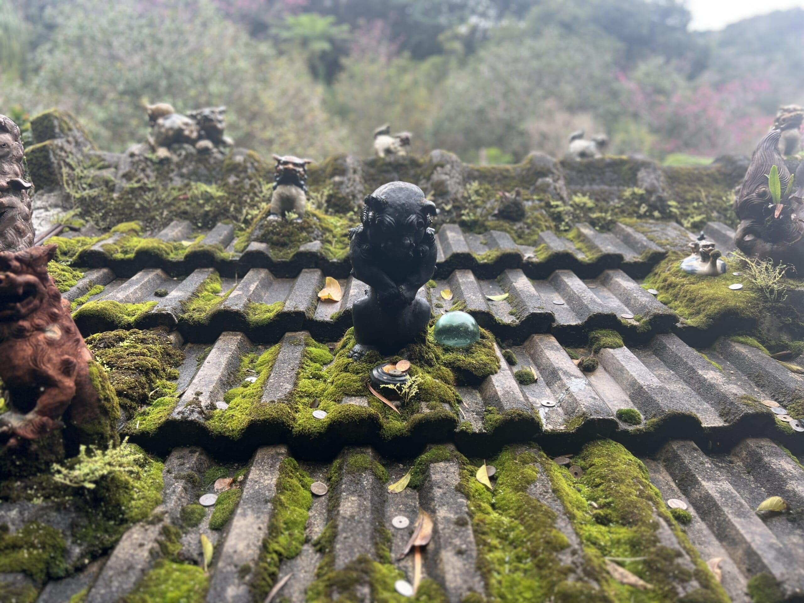 【沖縄】カフェでお花見!「やちむん喫茶シーサー園」TBicoco