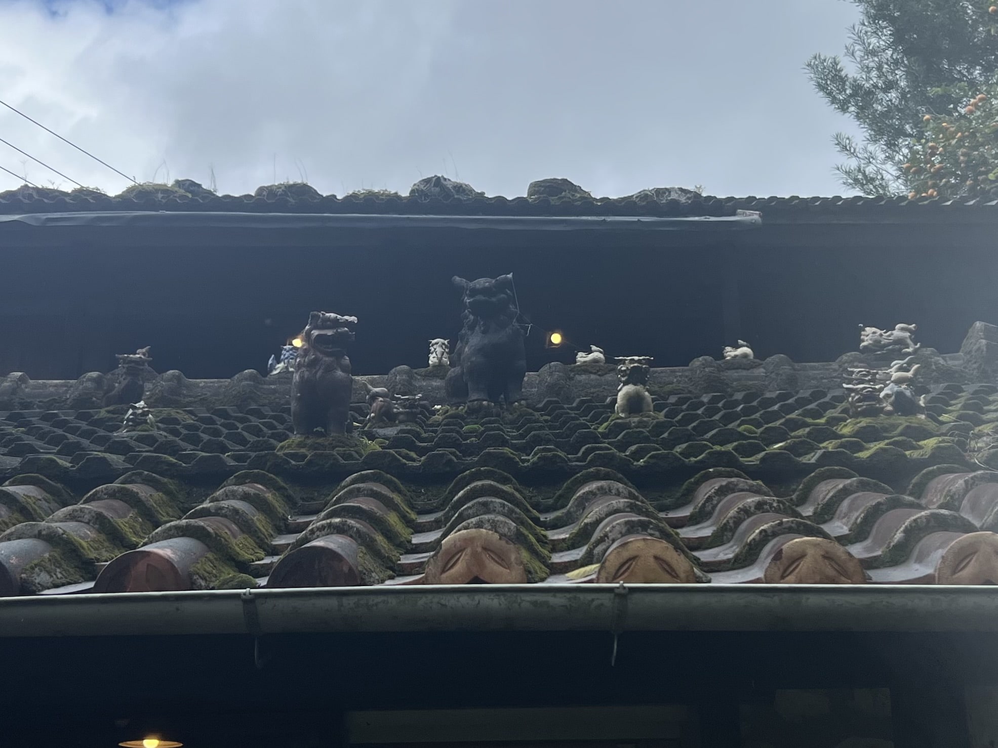 【沖縄】カフェでお花見!「やちむん喫茶シーサー園」TBicoco