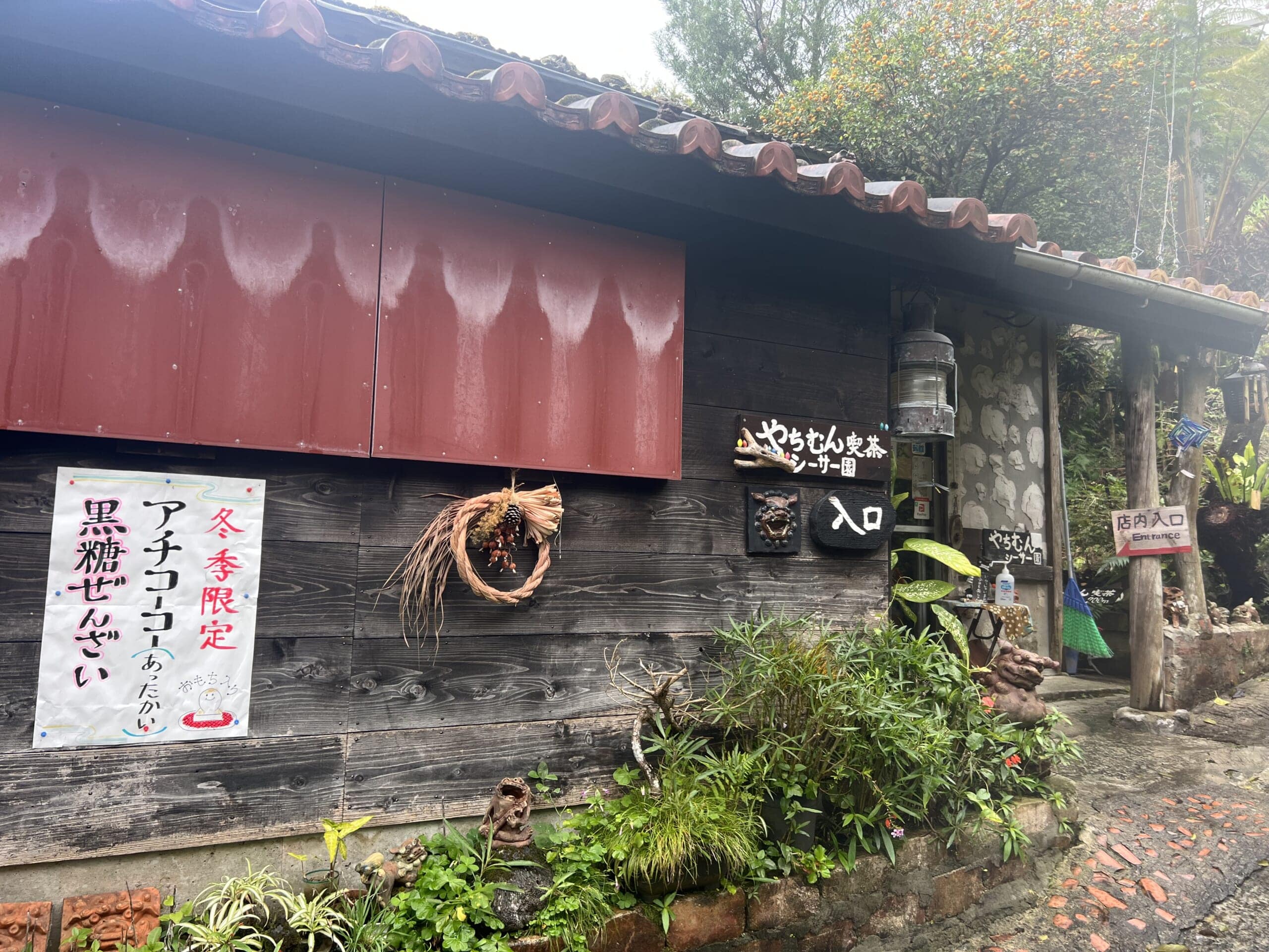 【沖縄】カフェでお花見!「やちむん喫茶シーサー園」TBicoco