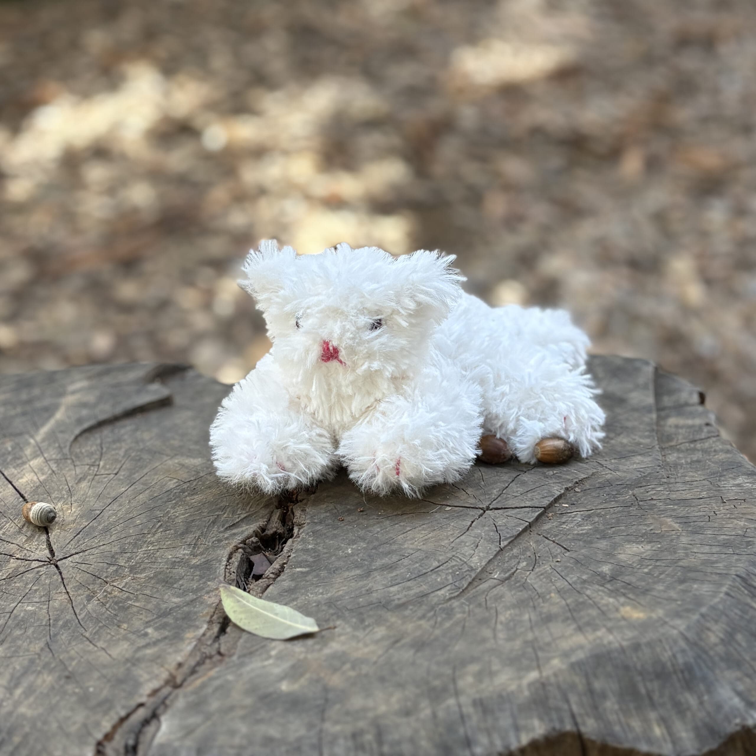 Miknitsの編みぐるみキットで作った猫の編みぐるみ