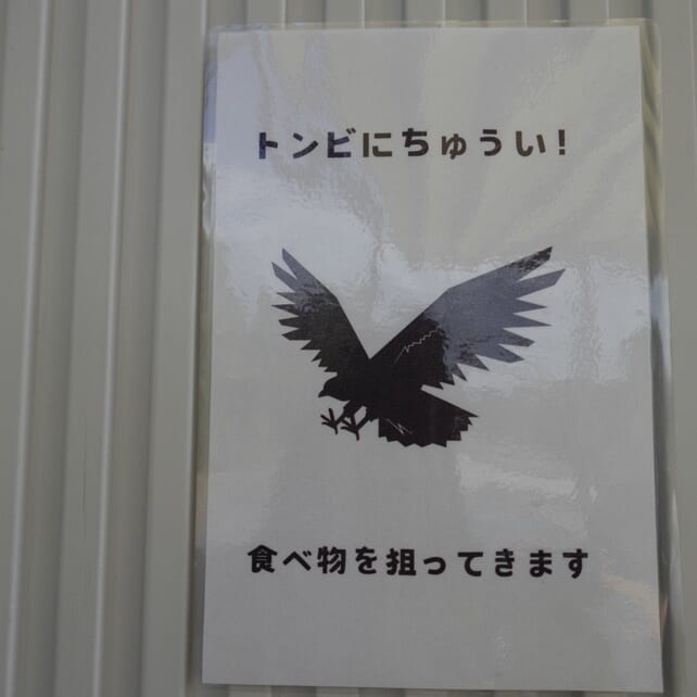 トンビ注意のチラシ