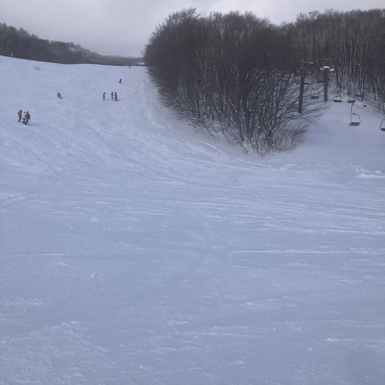 網張温泉スキー場　コースの様子