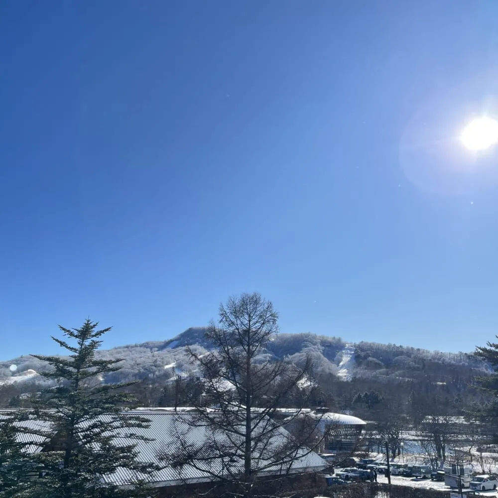 軽井沢プリンスホテルスキー場　全景