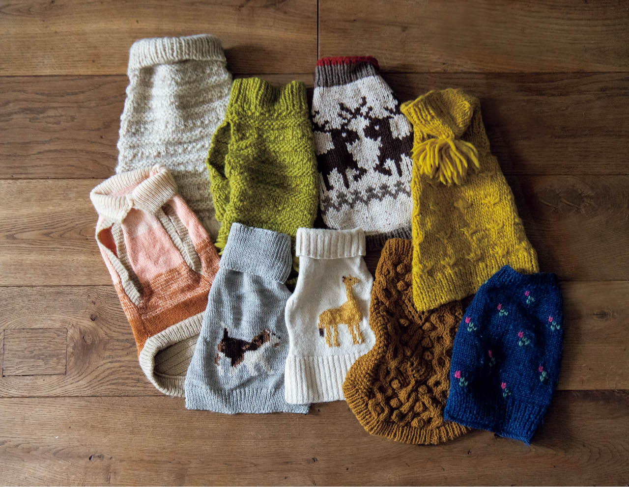 もぐらとピカソは衣装持ち。着心地のいいニットがたくさん！ もちろん、「ハグ オー ワー」で作った服も。「これからは、こぐちゃんの女の子服も増えますね」