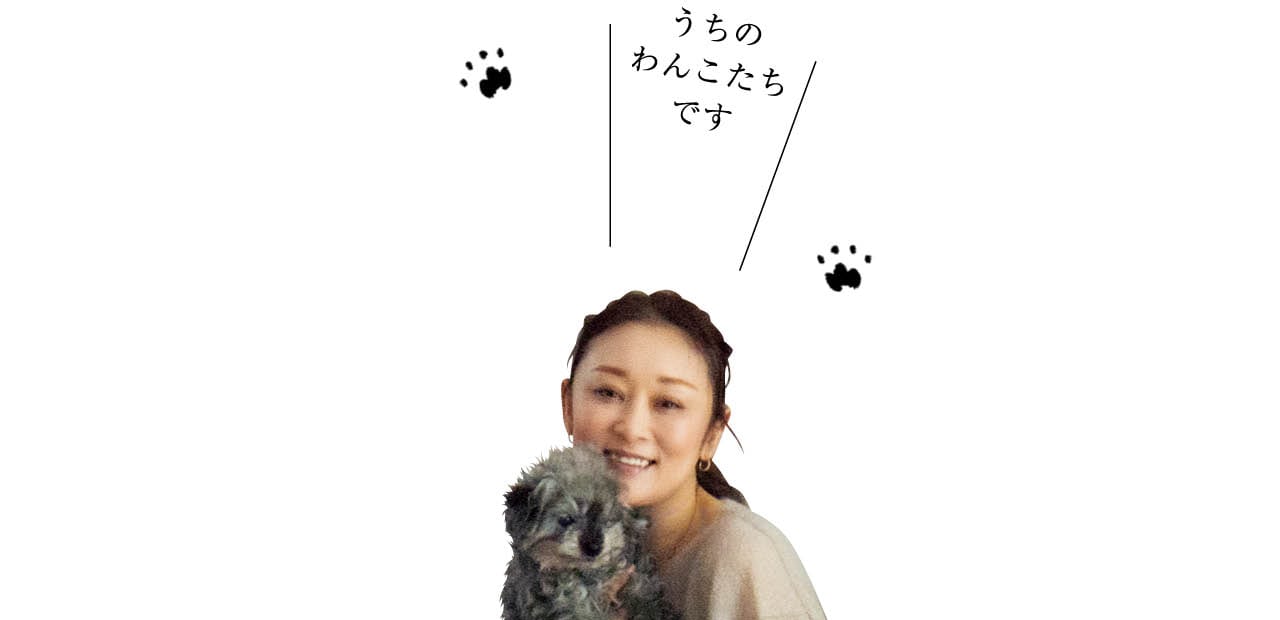 雅姫さん「うちのわんこたちです」
