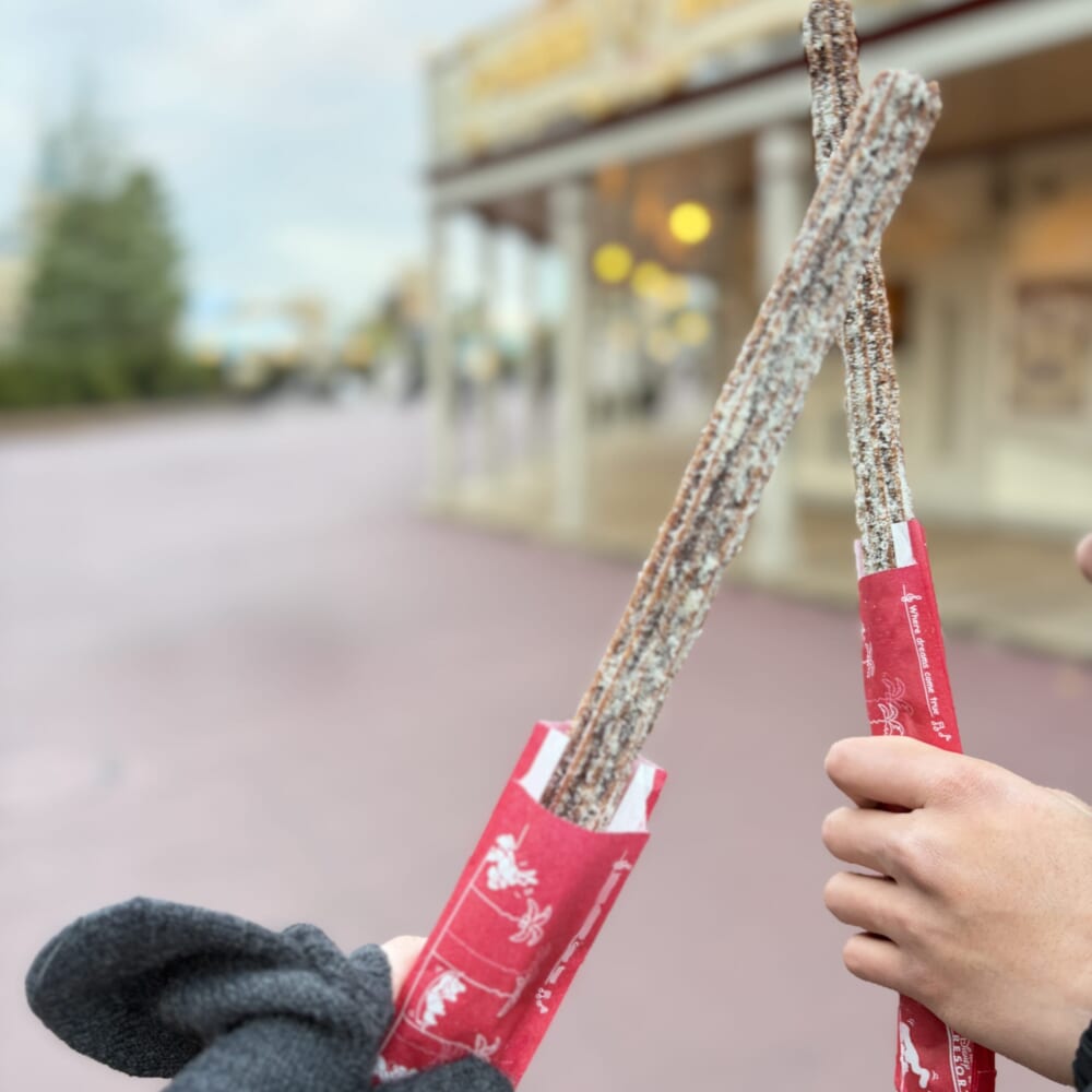 ディズニーランド ミニーのファンダーランド チョコチュロス