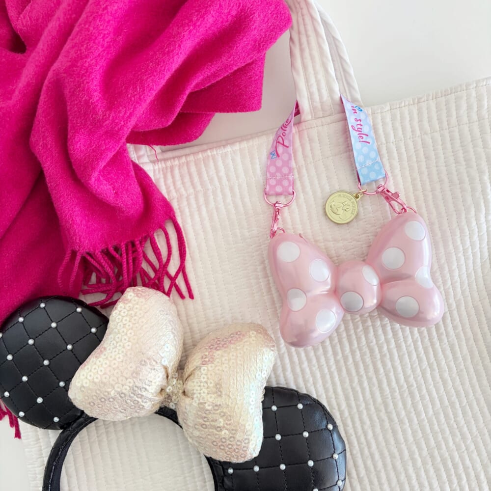 ディズニーランド ミニー スナックケース