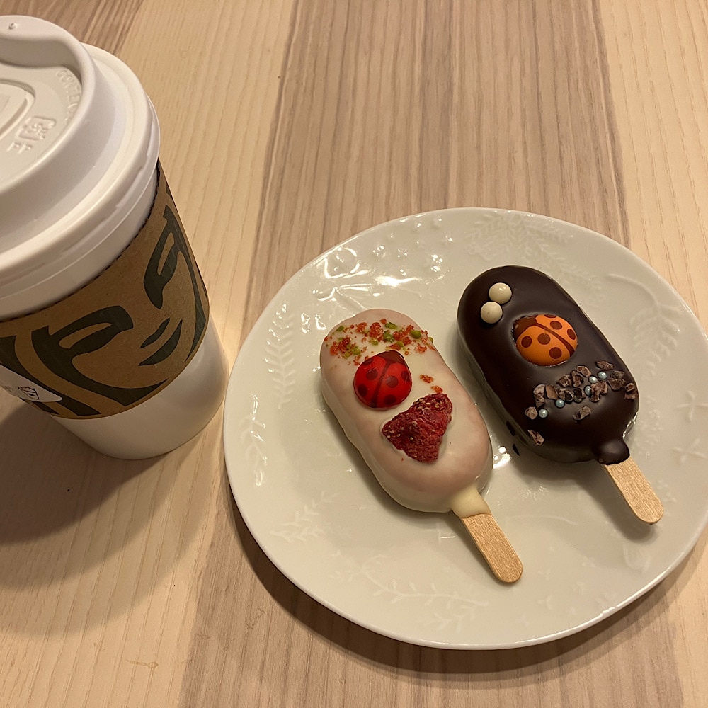 バレンタイン　チョコレート　ボンシャペリー