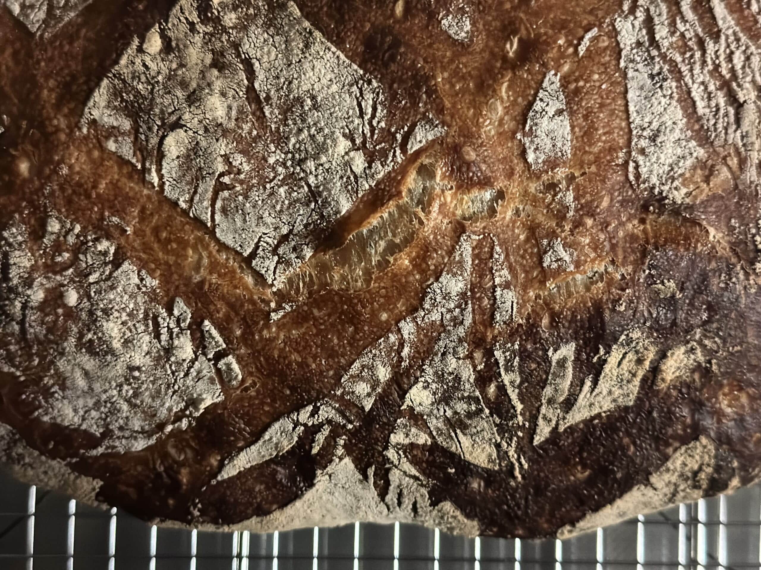 サワードウ ロデヴ パン