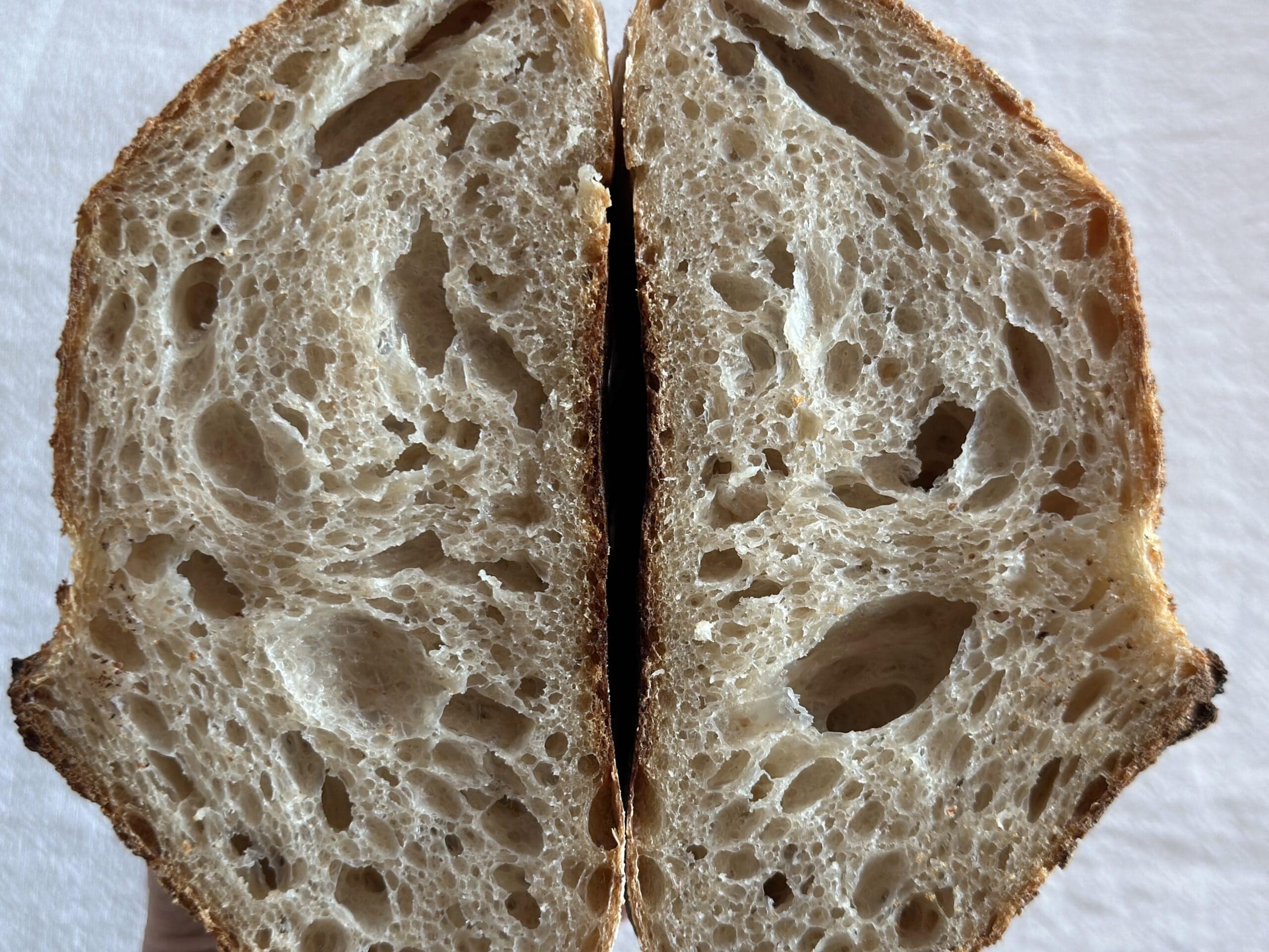 カントリーサワードウ 断面 クラム