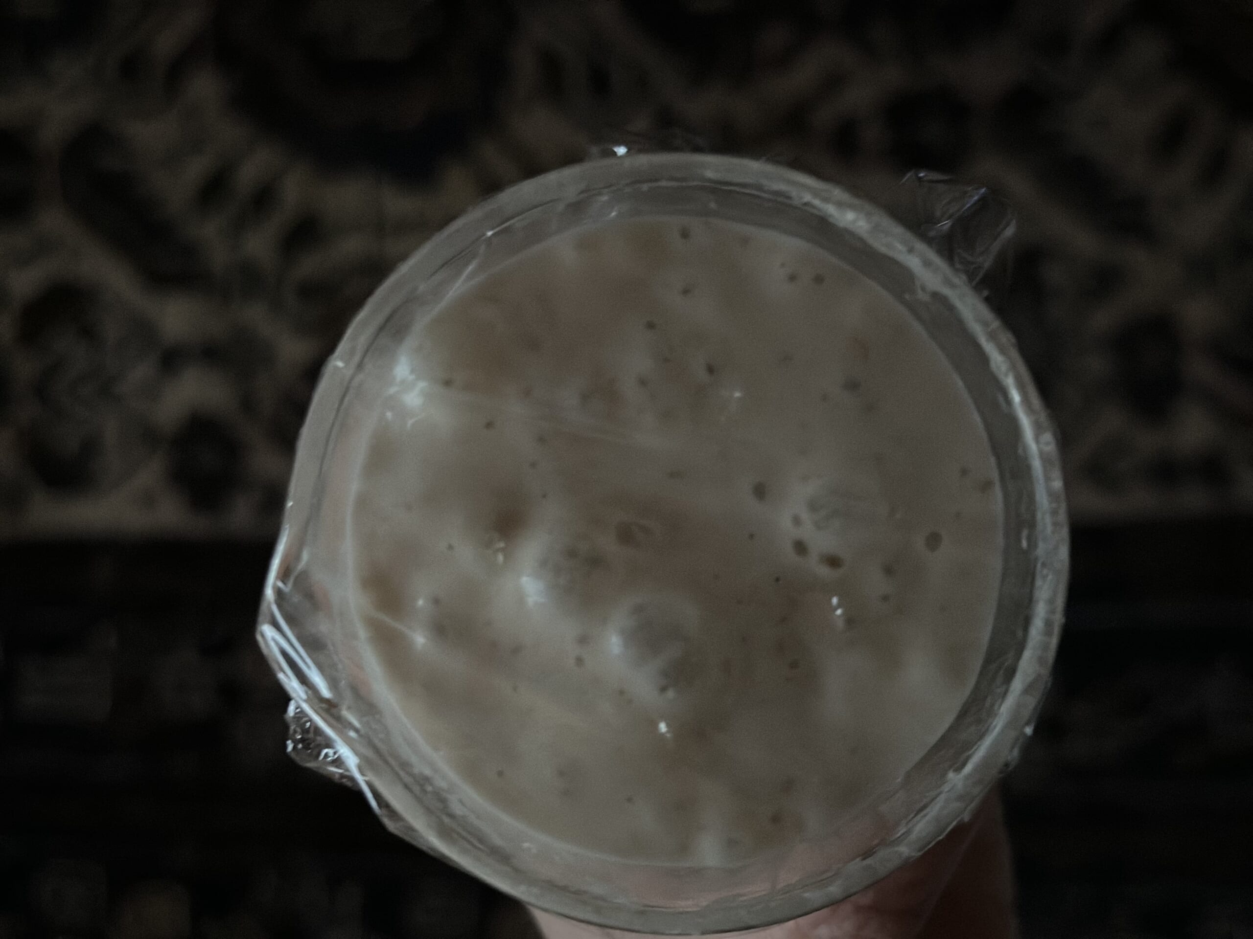 サワードウ 発酵種 スターター