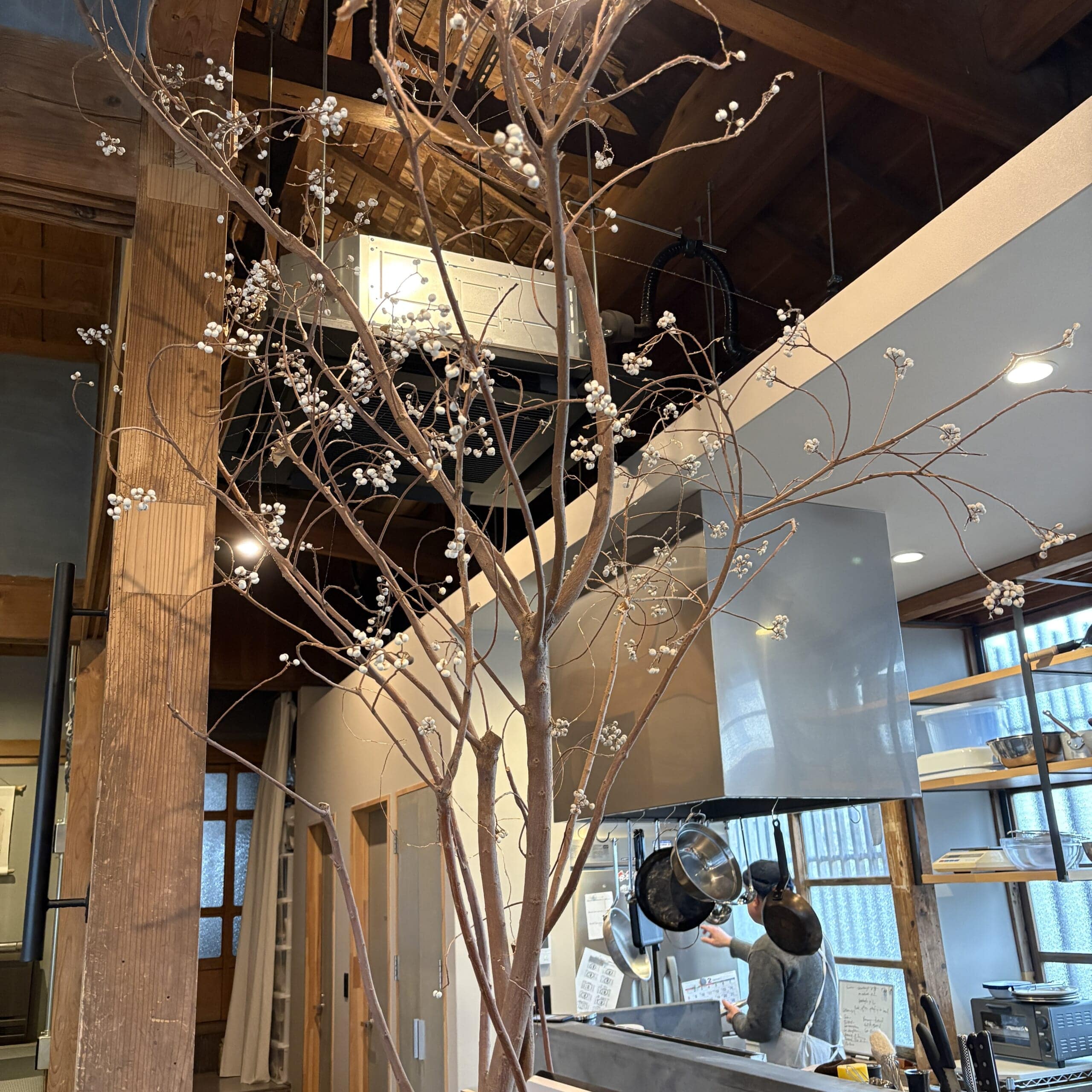 鹿児島県　古民家カフェ　池泉　ナンキンハゼ