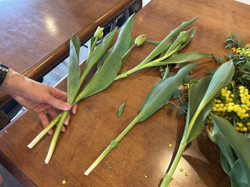 チューリップやミモザの花束の作り方の紹介、手順。らせん状に束ねていく。