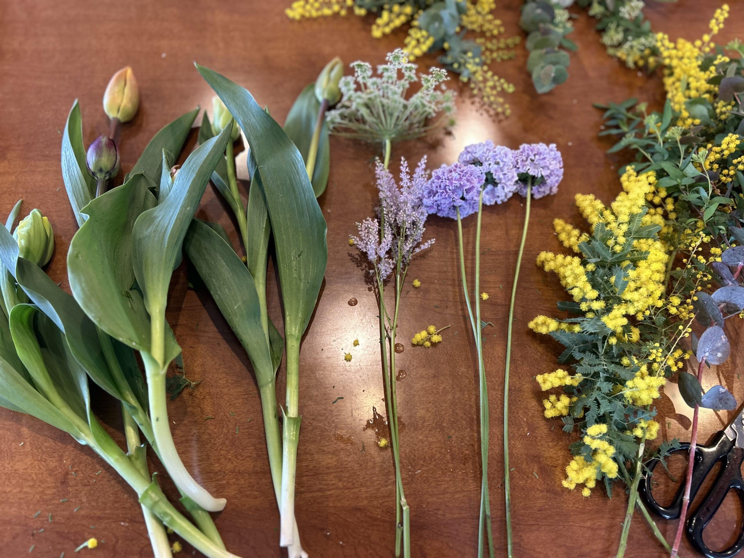 チューリップ、スカビオサ、アスチルベ、ホワイトレースフラワー、アスチルベ、ミモザ、ユーカリ、コデマリ、春の花の紹介。