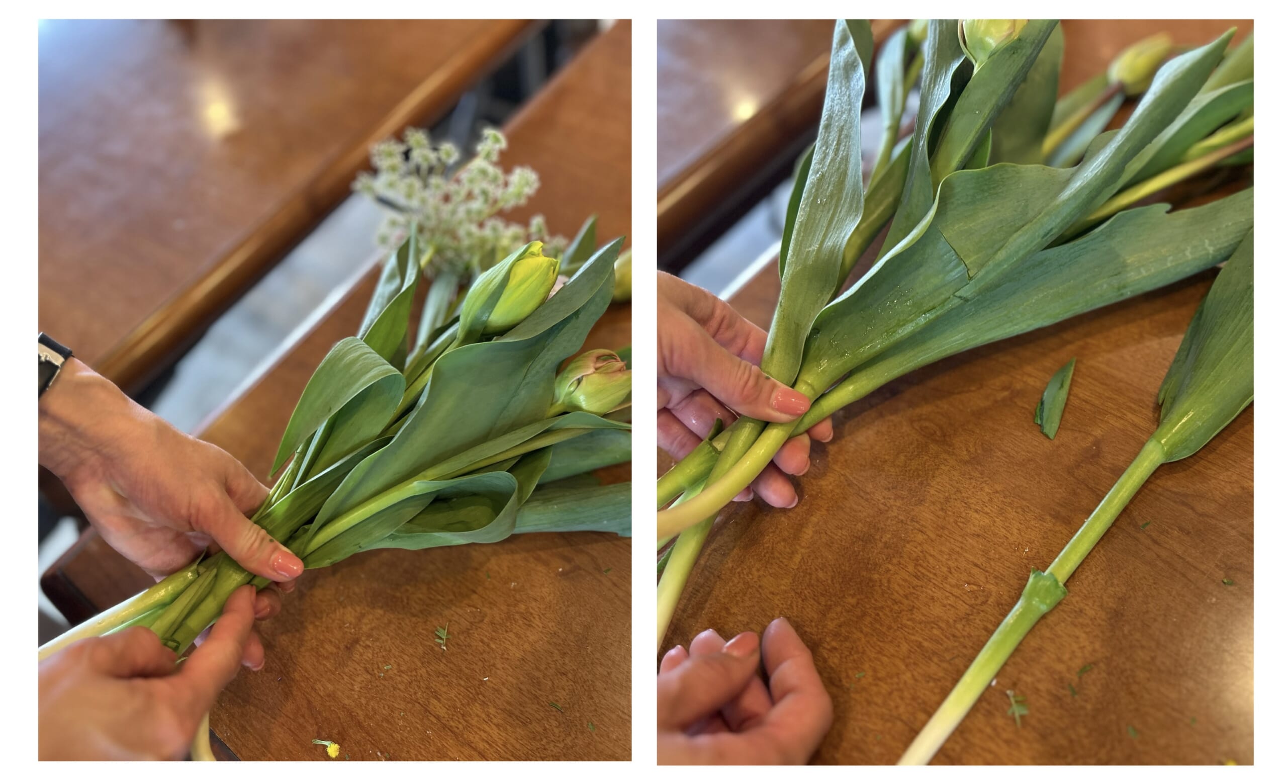 チューリップやミモザの花束の作り方の紹介、手順。らせん状に束ねていく。