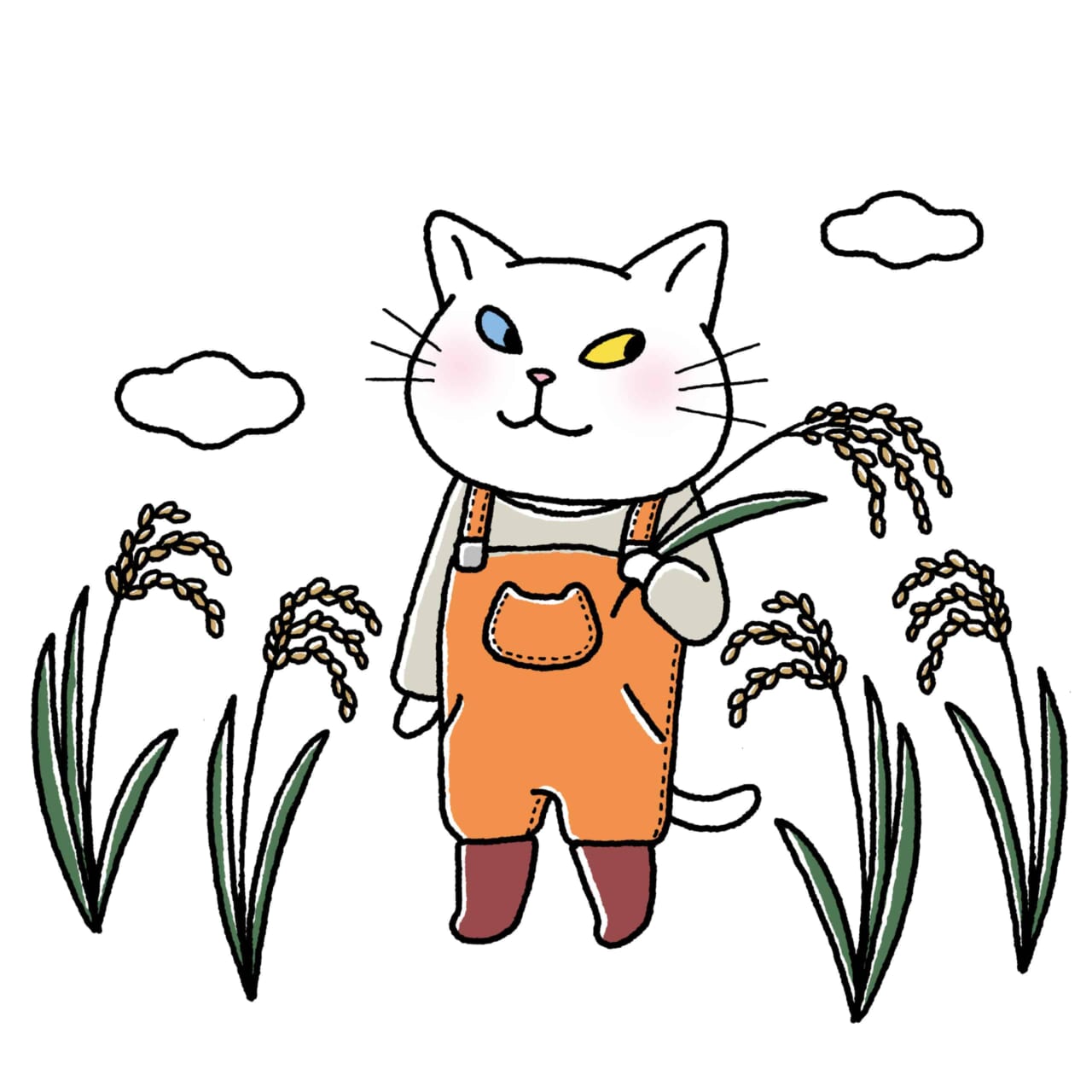 稲穂が実った猫のアンジー