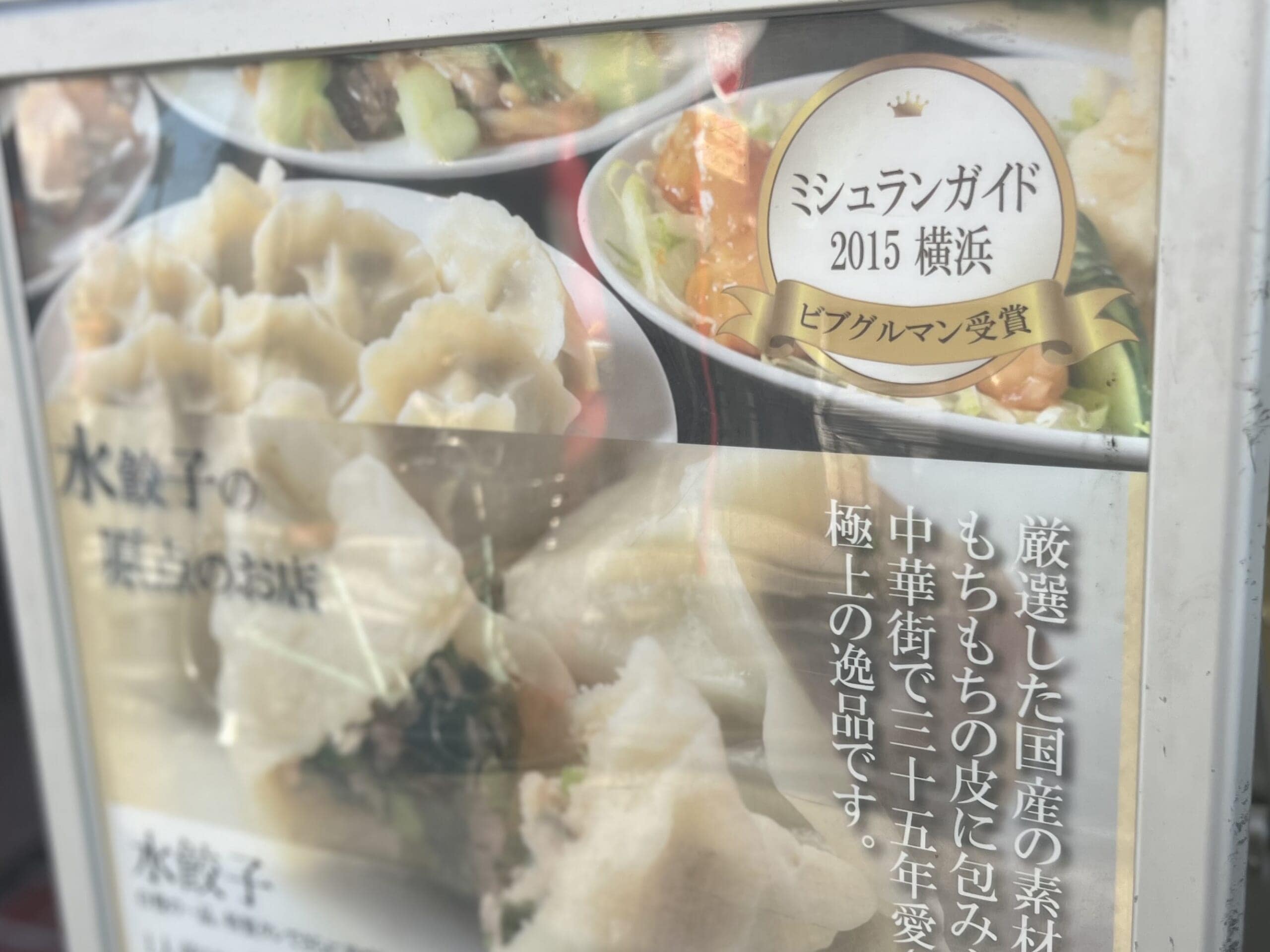 【横浜中華街】行列必至の人気店「山東」で水餃子！お買い物は100人隊おすすめ「伍福寿新店」へ ！TB icoco