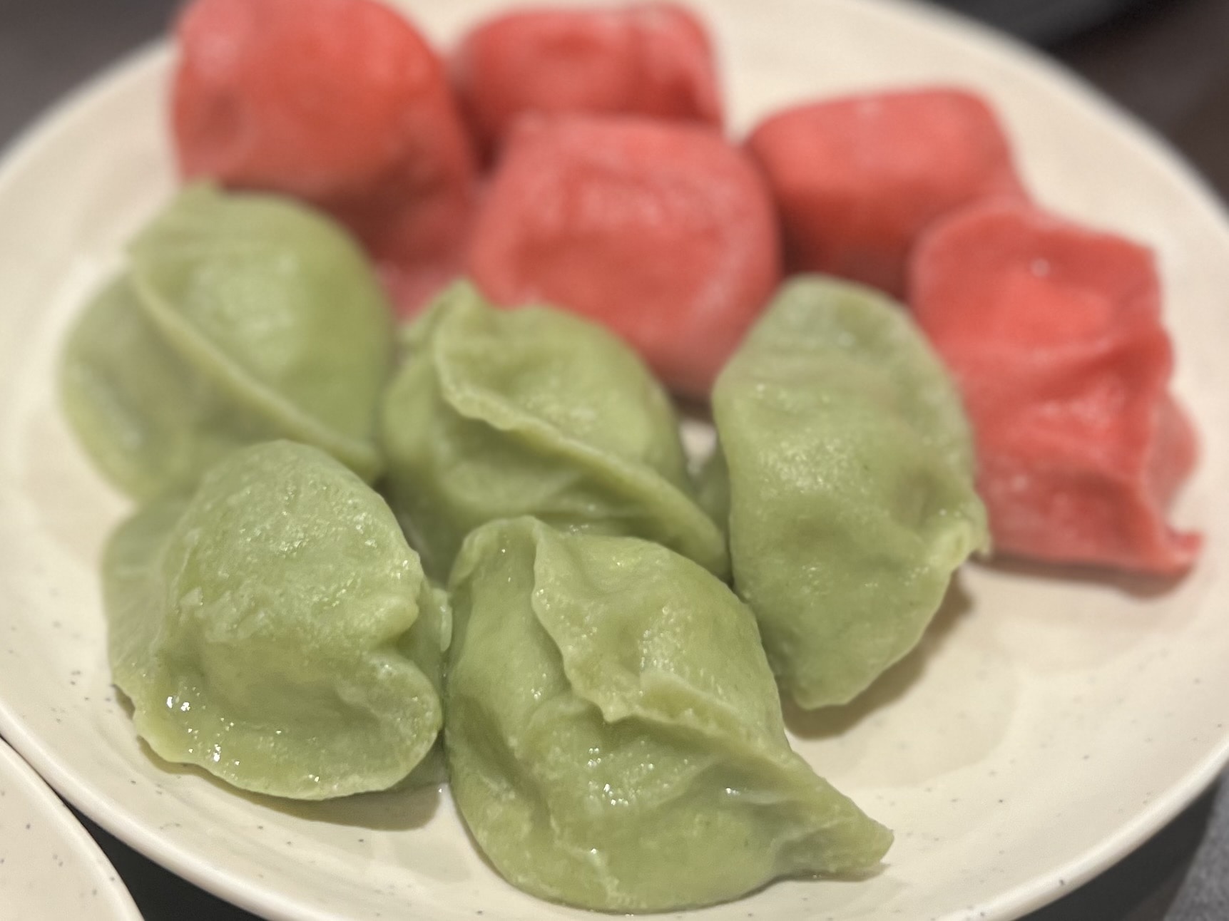 【横浜中華街】行列必至の人気店「山東」で水餃子！お買い物は100人隊おすすめ「伍福寿新店」へ ！TB icoco