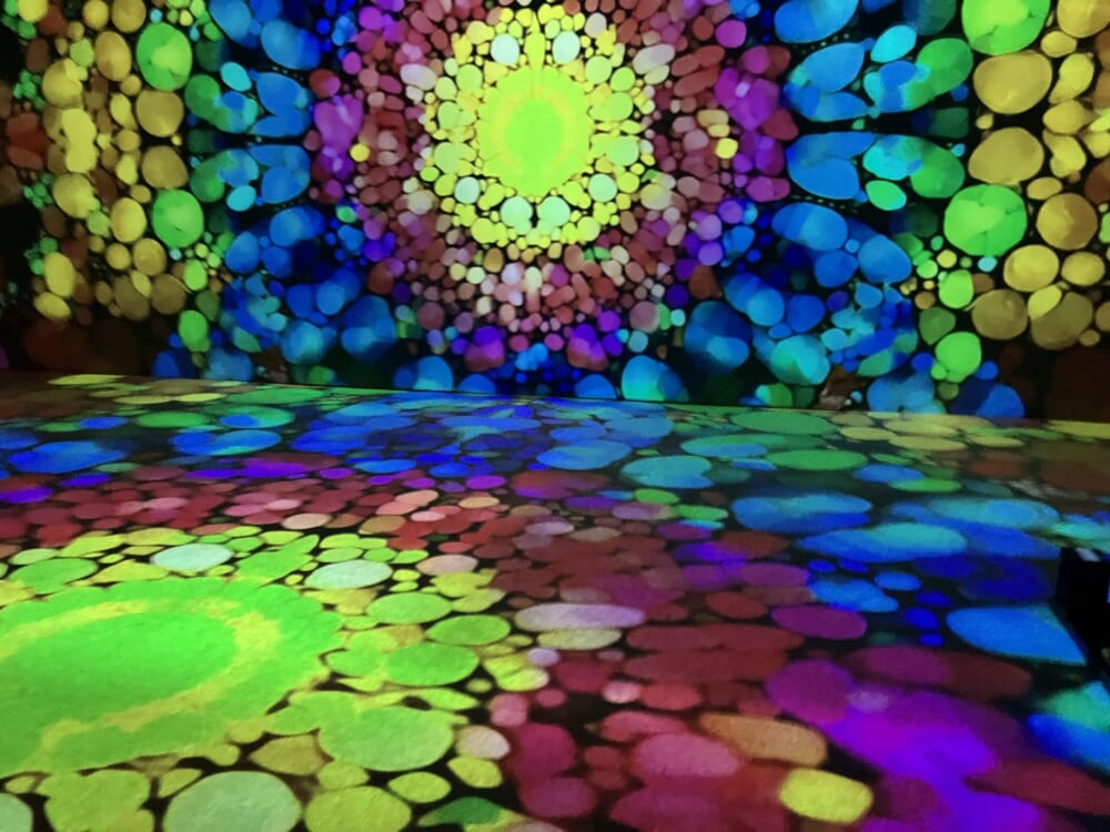 ガウディ展
光
没入空間