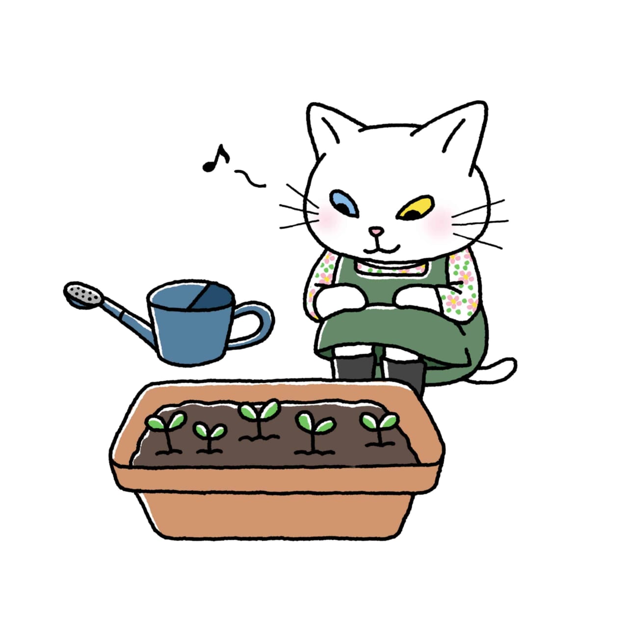 種をまく猫のアンジー