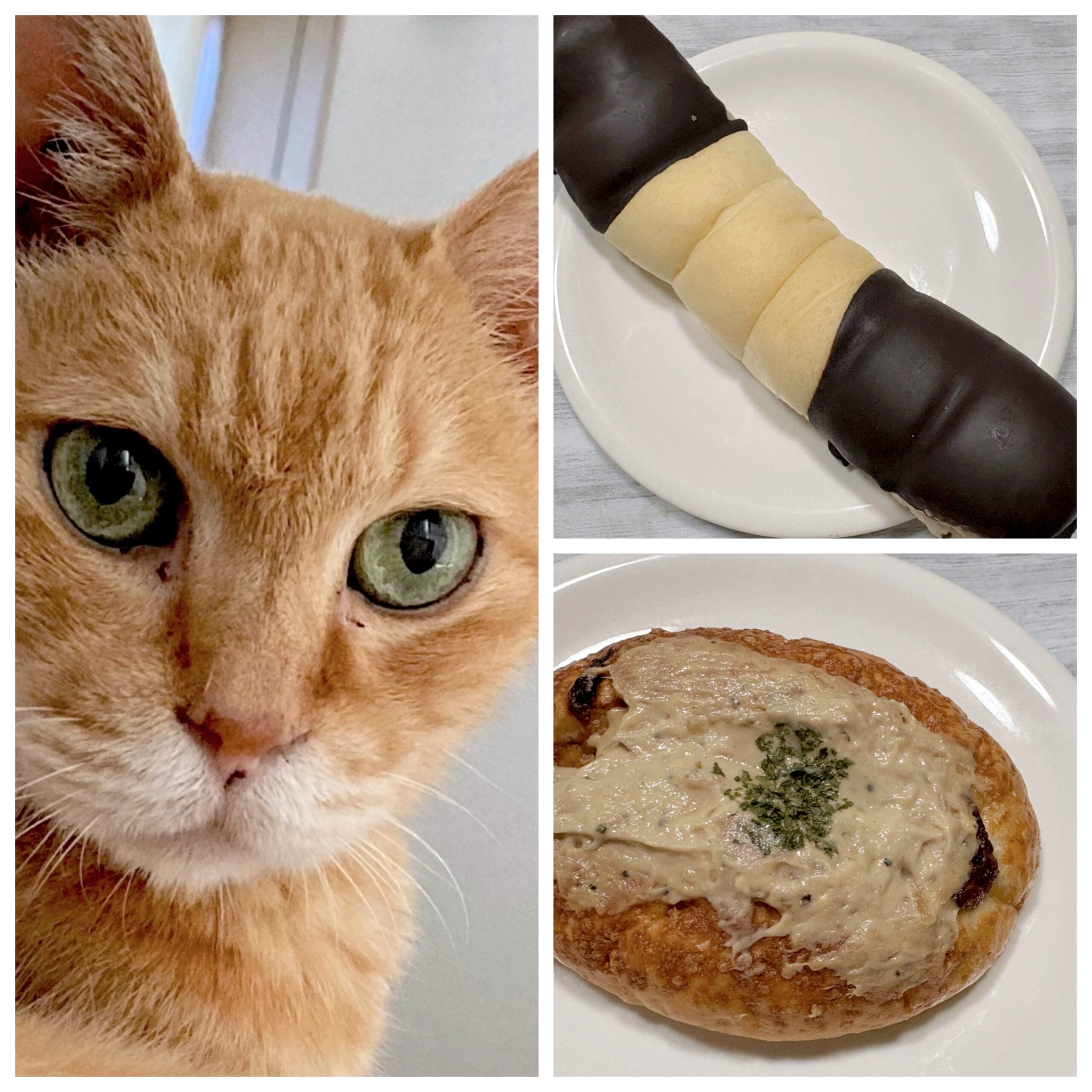 セブンイレブン】2/22はにゃんにゃんにゃんの日！猫のパンを購入しま