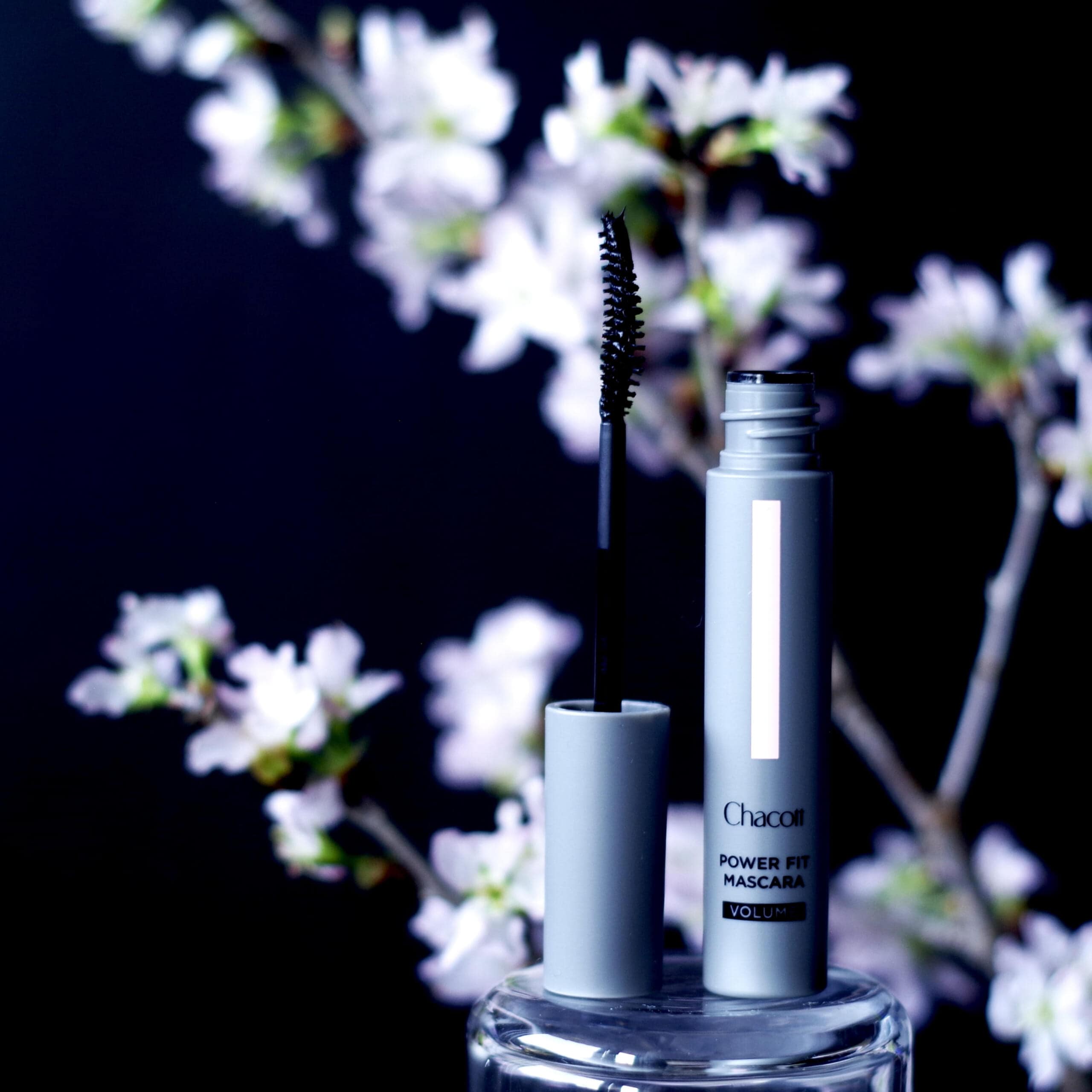 Chacott パワーフィットマスカラ　桜