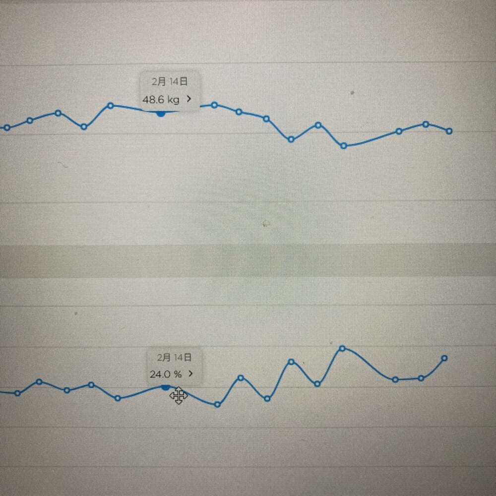 40代ママダイエット 体重 体脂肪率