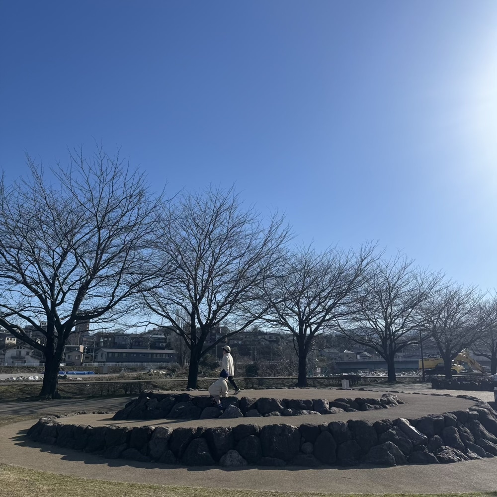 空　晴れ　公園