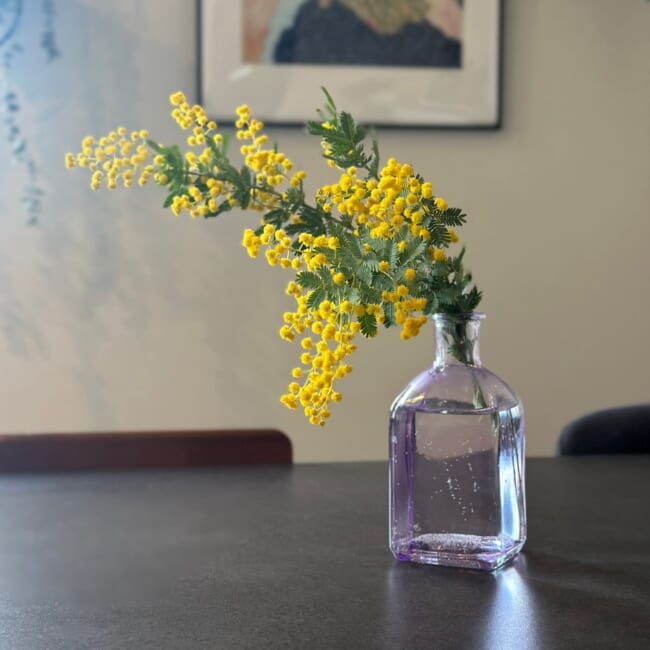 ミモザ インテリア