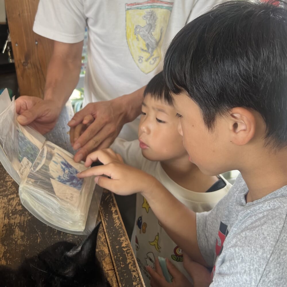 琉球グラス　子ども食器　うつわ