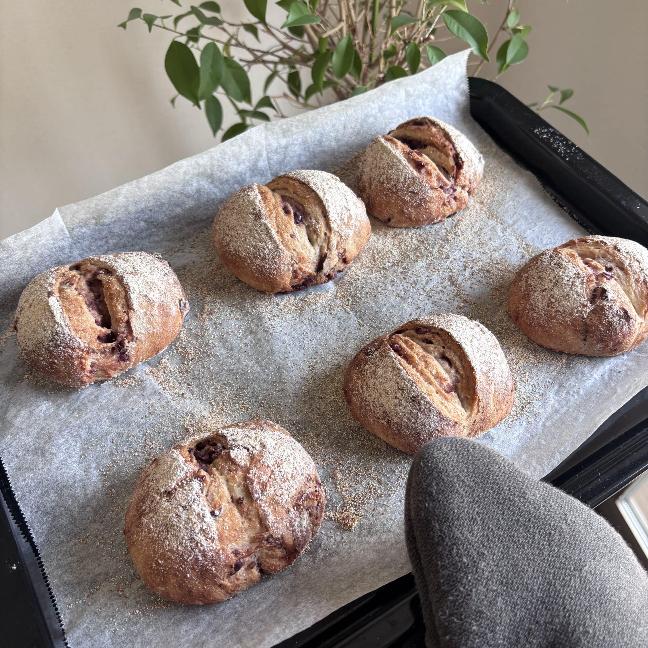 全粒粉あずきパン