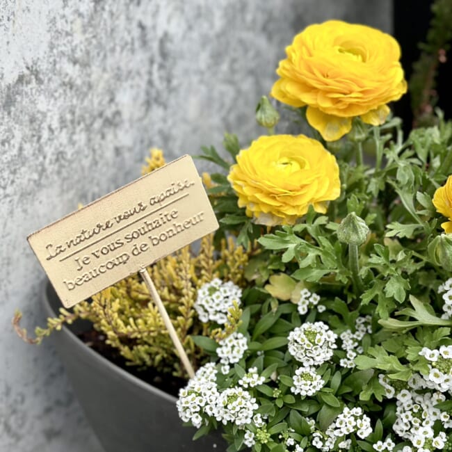 ダイソーのガーデンピック　園芸