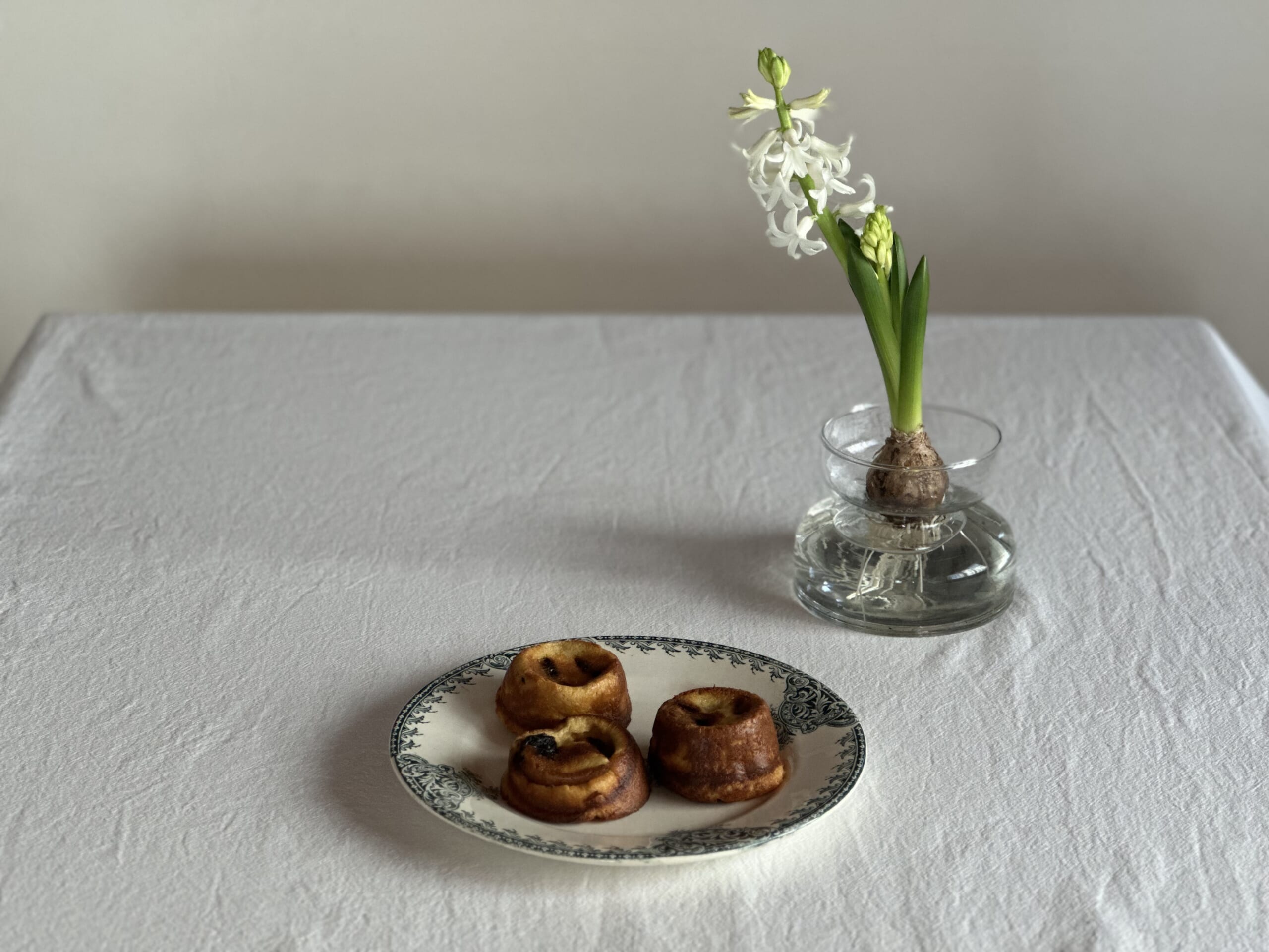 ヒヤシンス　ファーブルトン　leedaysclub