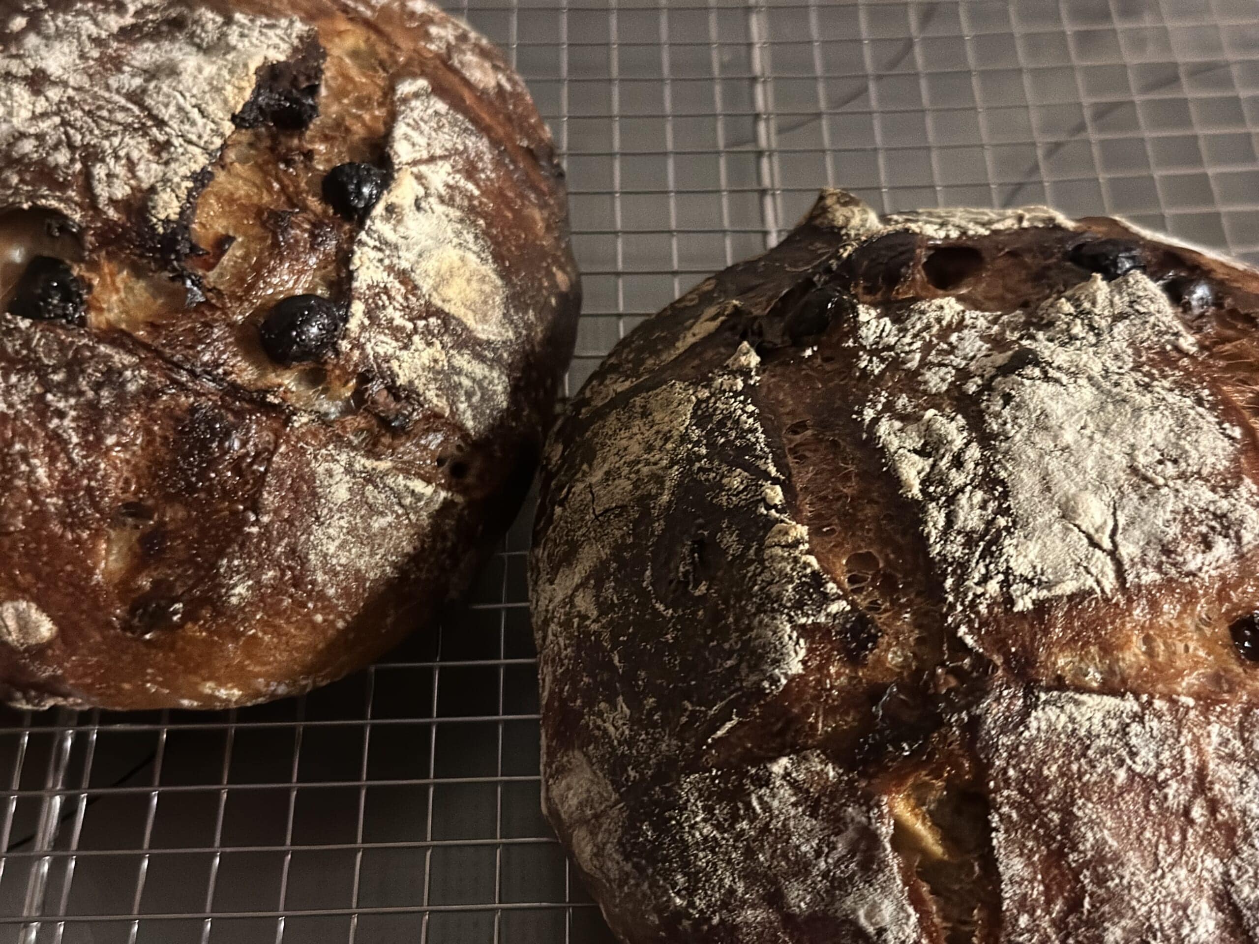 サワードウ　フルーツロデヴ　パン作り