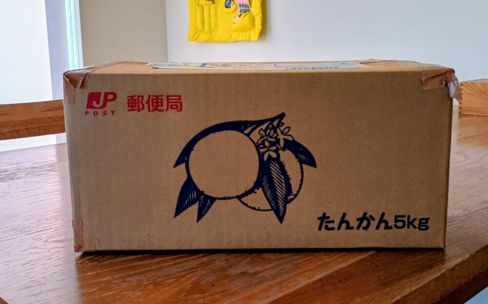 タンカン　奄美大島　みかん