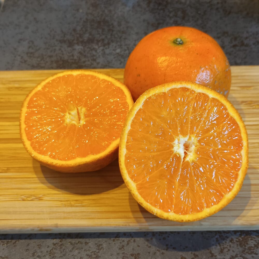 タンカン　奄美大島　みかん