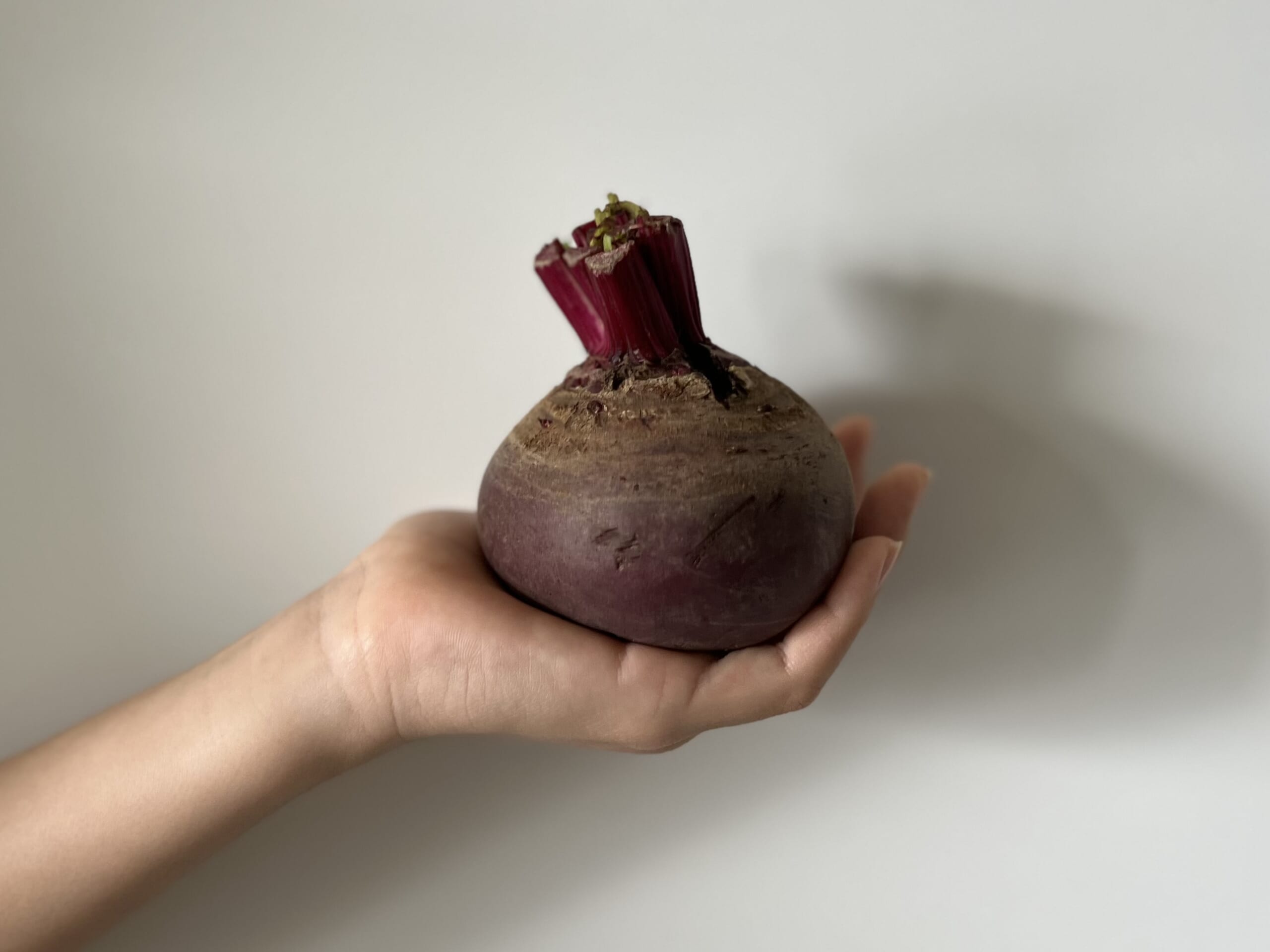 【2026年LEE3月号】小堀紀代美さんレシピ「ひなまつりアペロ5品」作りました!TB icoco