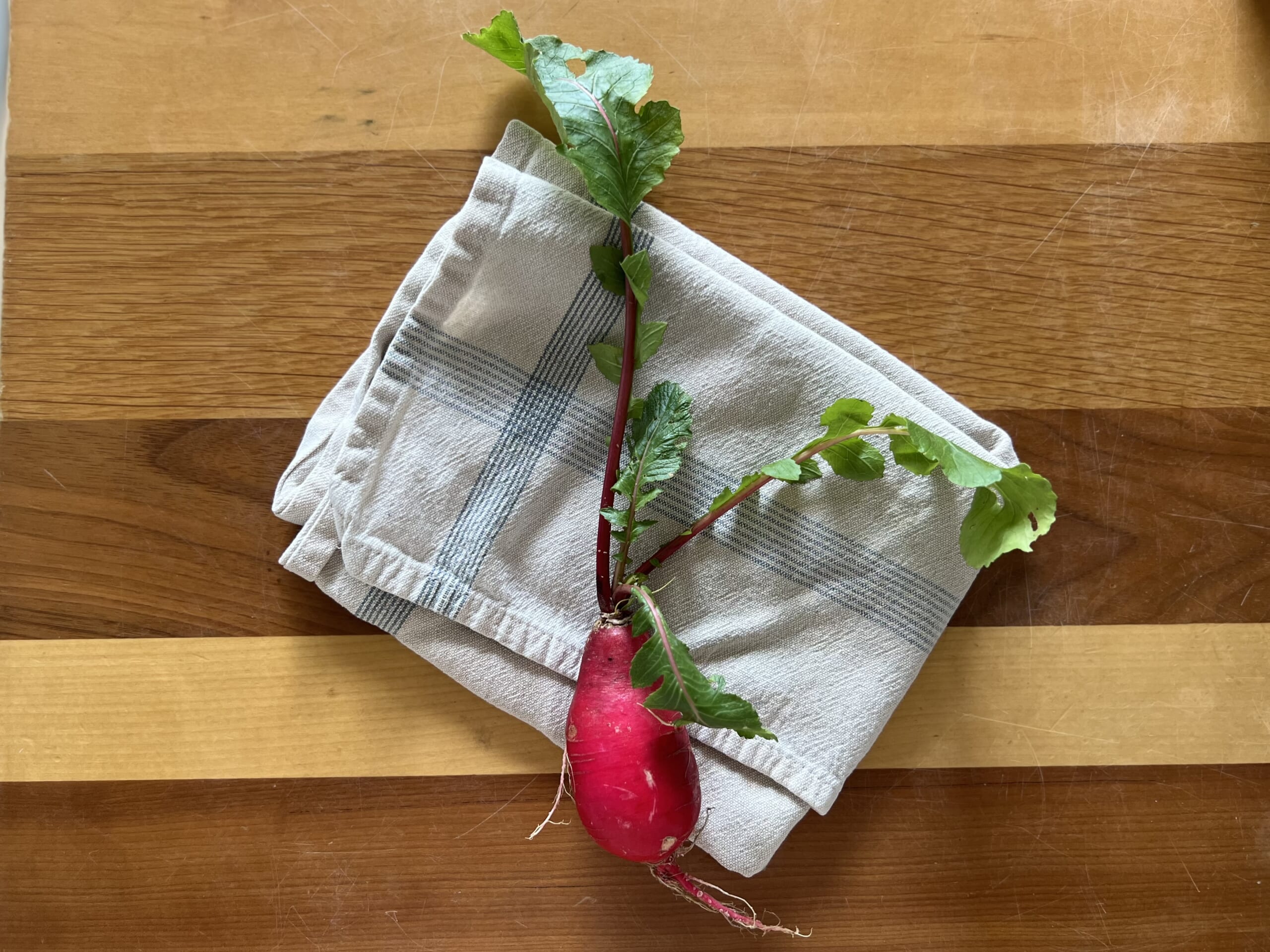 【2026年LEE3月号】小堀紀代美さんレシピ「ひなまつりアペロ5品」作りました!TB icoco